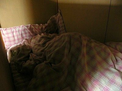 押入れに布団を入れてベッドにした