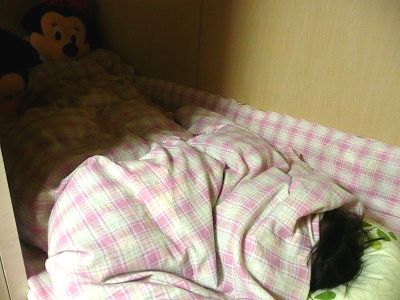 押入れに布団を入れてベッドにした