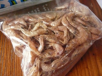 わが家のゼニガメのおやつ