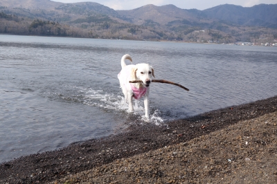 山中湖