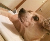 20090812212841.jpg