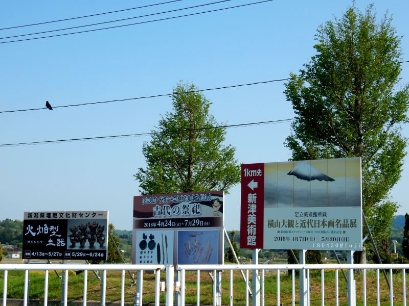 加茂市 青海神社 加茂山公園 加茂川こいのぼり 米と海と山 にいがた