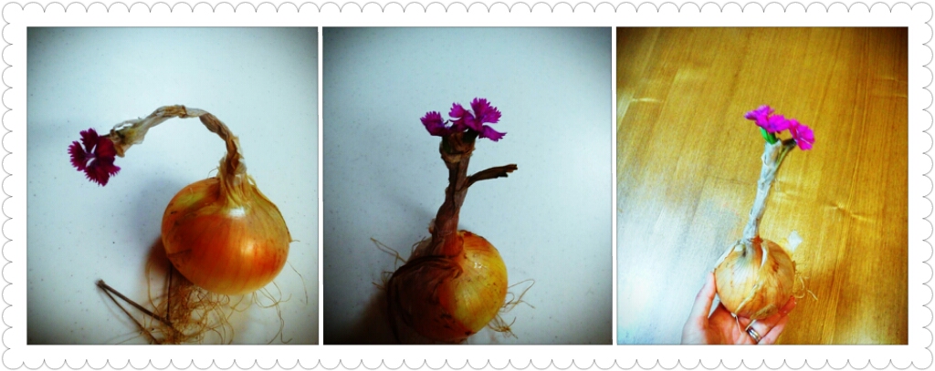 photoshake_1372157966806.jpg