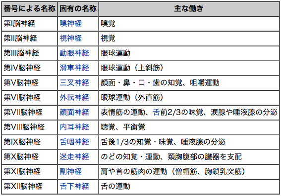 脳神経