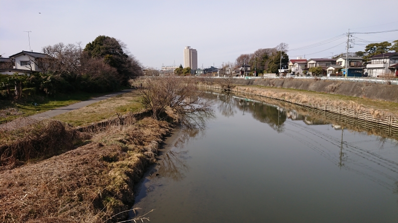 宮前橋から 満面のほほえみ