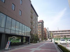 大学