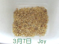 J-0307