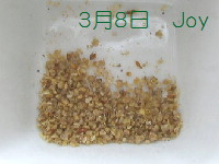 J-0308
