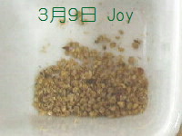 J-0309