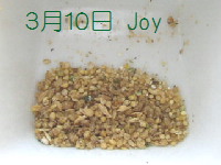 J-0310
