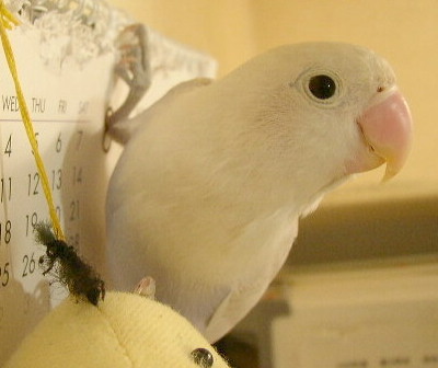 破壊2