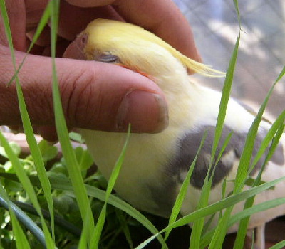 6
