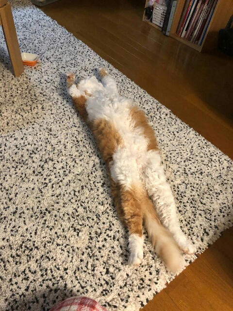 2019062723464400.jpg