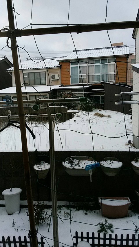 2020021100044000.jpg