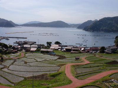 日引の棚田