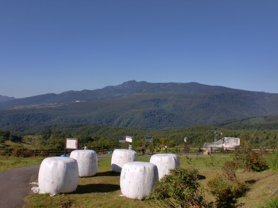 嬬恋牧場