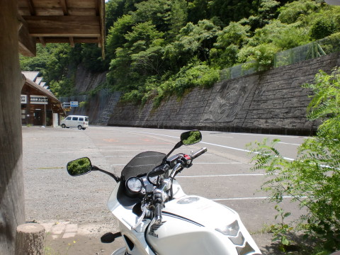 ゆず夢