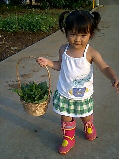 060810_1726~0001.jpg