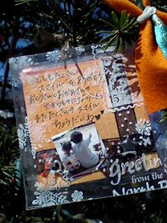 061211_1142~0001.jpg
