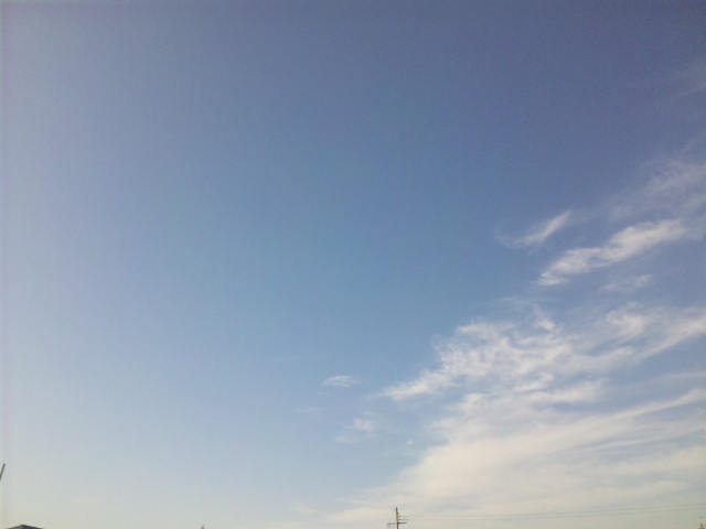 101205_141740.jpg