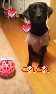 20070404_149309.jpg