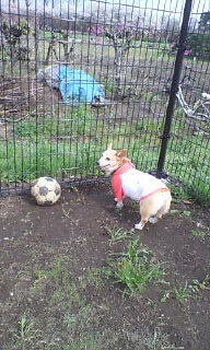 20070406_150862.jpg