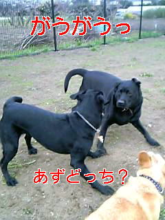 20070407_151485.jpg
