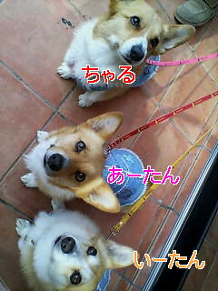 20070412_154958.jpg