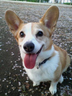 20070413_155588.jpg