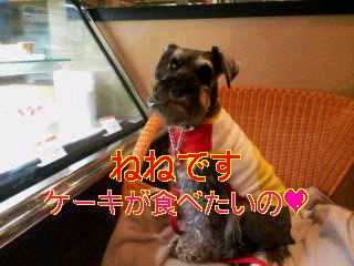20070419_159527.jpg