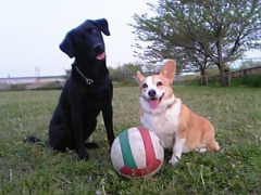 20070421_160934.jpg