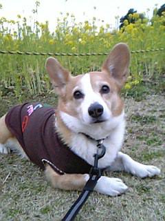 20070427_164967.jpg