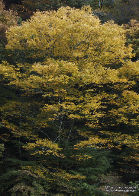 _B040030.jpg