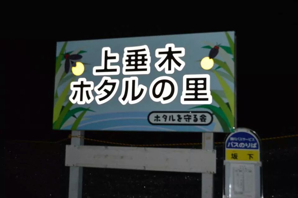 kamitaruki