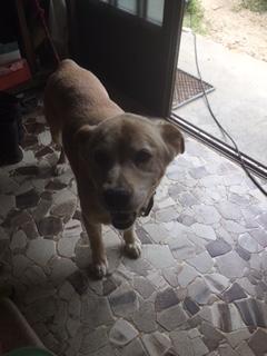 image1.jpeg