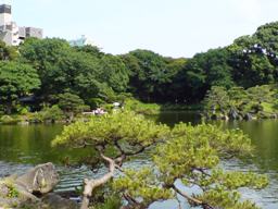 清澄庭園・磯から鶴島方向
