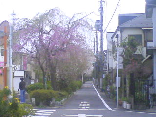 SN390070.JPG