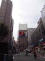 バリ人と行った歌舞伎町の様子