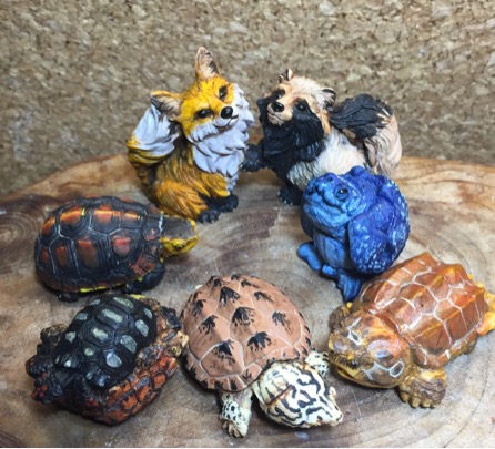 アクアプラント 守亜 玄武 ホシガメ ハコガメ