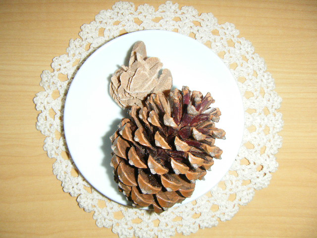 2015_1119tricolosir0001.JPG