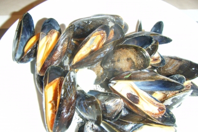 2015_1013france0124.JPG