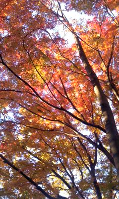 151207_1607~01.JPG