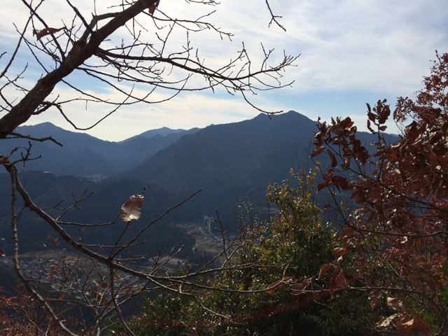 写真 11.jpg