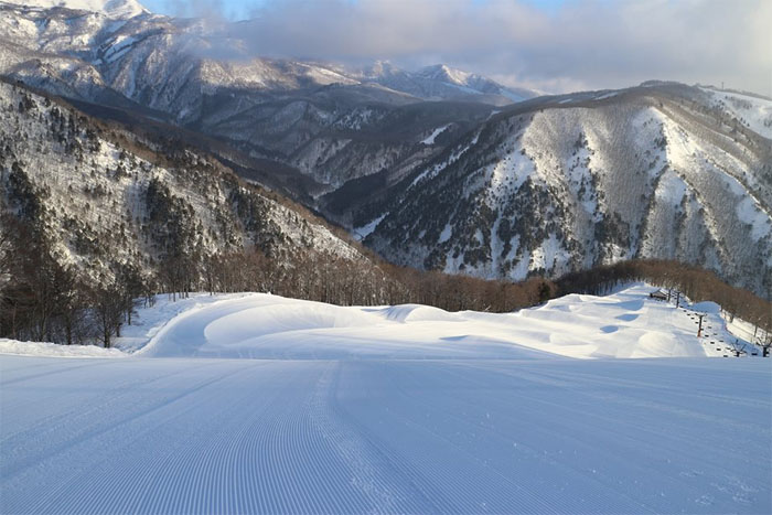 名称未設定 1のコピー.jpg