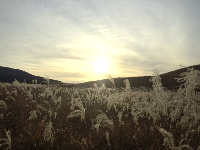 2015.11.11 ゆあさあいほん_1193.jpg