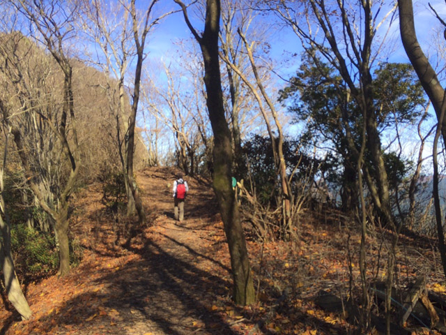 2015.11.11 ゆあさあいほん_4440.jpg