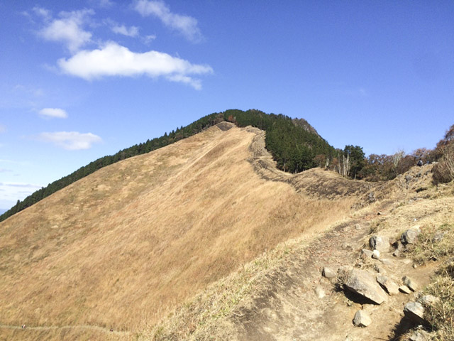 2015.11.11 ゆあさあいほん_6908.jpg