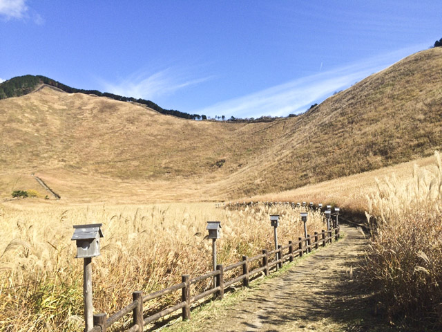 2015.11.11 ゆあさあいほん_8059.jpg