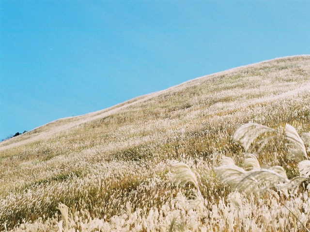 2015.11.11 曽爾高原、倶留尊山_699.jpg