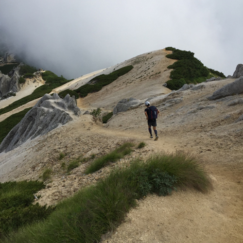 patagoniaのランショーツ Strider Pro Shorts 5＆7 – moderate